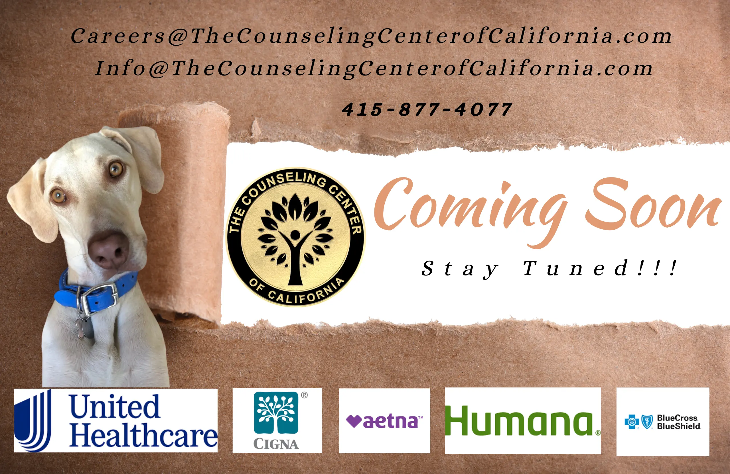 The Counseling Center of California Coming Soon!